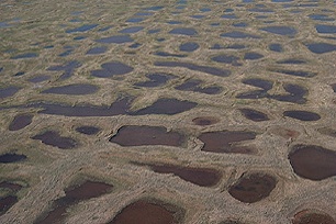 A maze of permafrost.