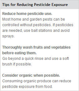 A brochure for reducing pesticide exposure.