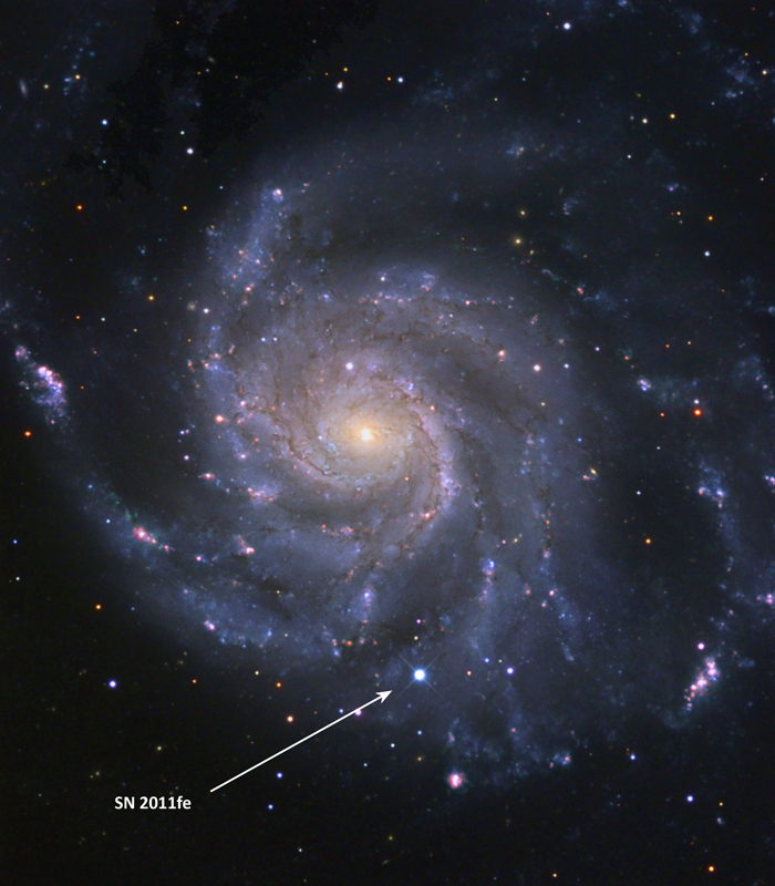 A galaxy with a pinpointed supernova.