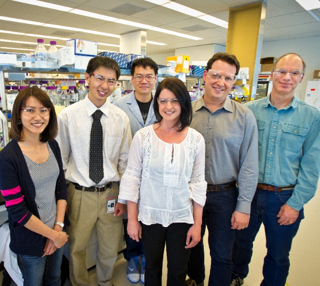 Six researchers pose in a lab.