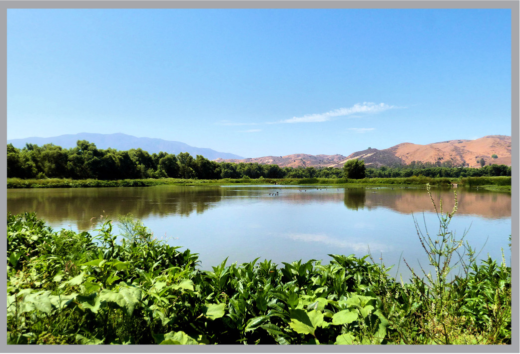 open wetland