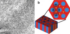 Two rendered depictions of micrographs.