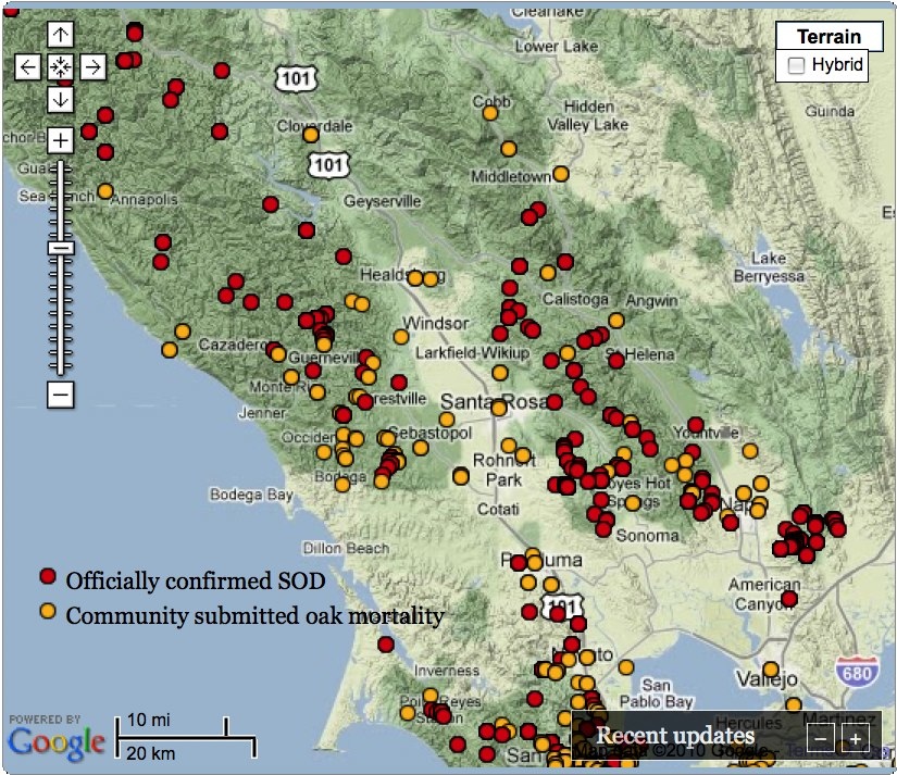 map of California pinpointing areas with confirmed Sudden Oak Death in red and community-reported Oak death in orange.