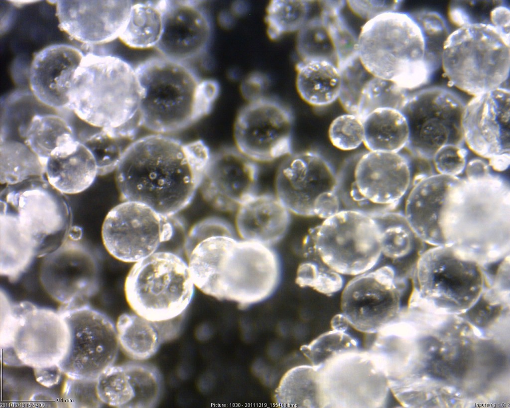 Microscopic image of small spheres of snow.