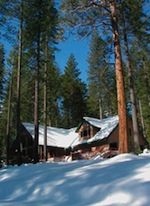 A snow-covered cabin in the midst of a conifer forest.