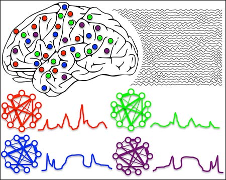 An illustration of brain rhythms shown in different colors.