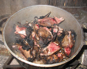 Ten small fruit bats cook in a metal pot.