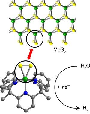 A ball and stick model of the molecule.