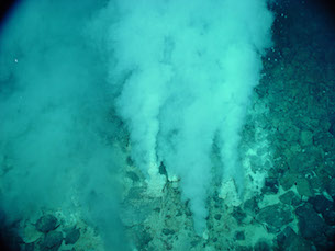The researchers found that thioredoxin, a protein that plays a major role in contemporary photosynthesis, plays a similar role in a microorganism living in a "white smoker" vent like the one pictured above. (Photo courtesy of NOAA Pacific Marine Environmental Laboratory)