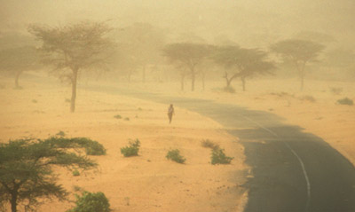 intense dust storm in the grassland.