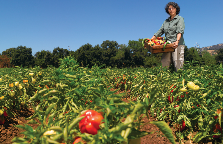 Claire Kremen at Full Belly Farms