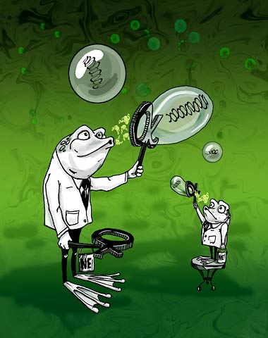A stylized illustration of two frogs blowing bubbles containing structural material.