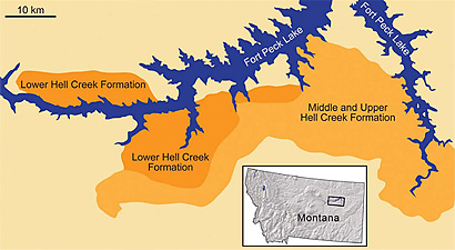 Color-coded area of Montana.