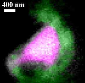 X-ray image of the dust mote Hylabrook showing olivine crystals (red) surrounded by noncrystalline magnesium silicate. Image: Anna Butterworth, UC Berkeley, from STXM data, Berkeley Lab.