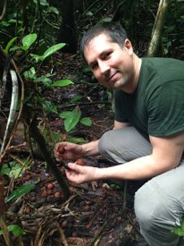 UC Berkeley postdoc Matt Medeiros collecting fruit from the jungle floor in Panama.
