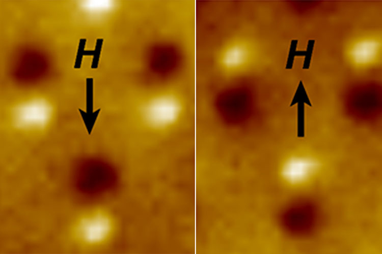 Magnetic microscope image