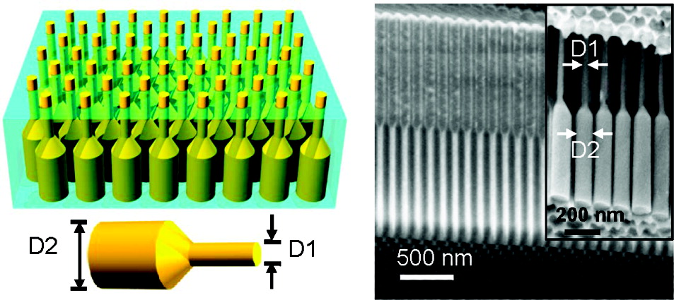 one model of the array and one microscopic image of the array at 500 nanometers.