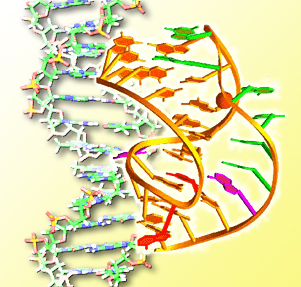 stylized DNA structure.