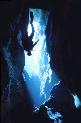 View from inside Devils Hole looking up at a scuba diver counting Devils Hole pupfish. The diver is approximately 8-10 meters below the pool’s surface. Photo: National Park Service