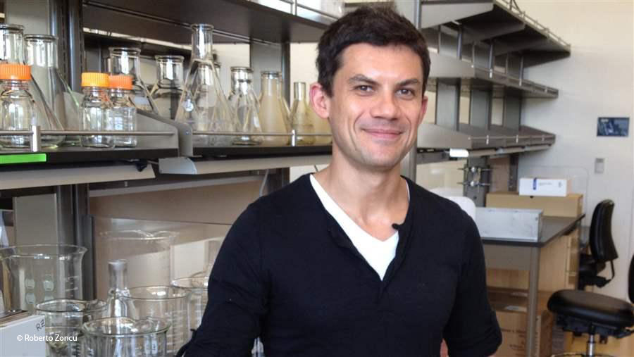 Roberto Zoncu in his laboratory at UC Berkeley