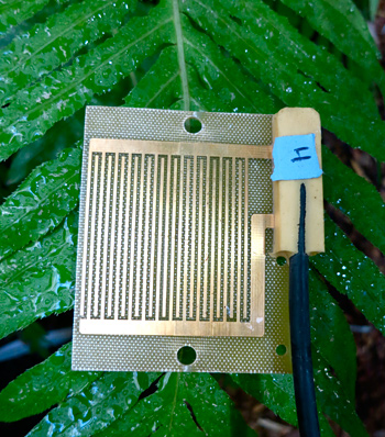 Sensor sitting on green leaf.
