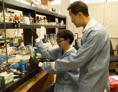 Researchers test samples in a lab.