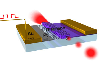 A model of the graphene modulator.