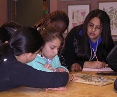 Children learning about science.