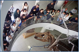 uc berkeley fossil tour