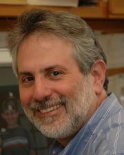 David Raulet