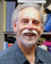 Andrea diSessa
