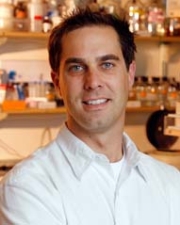 Andrew Dillin
