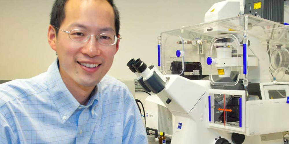 Christopher Chang in lab