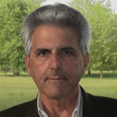 Neil Fligstein