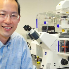 Christopher Chang in lab