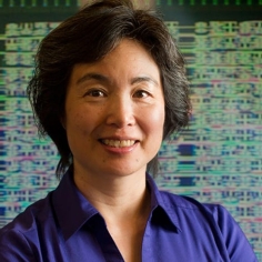 Tsu-Jae Liu with multi-color background
