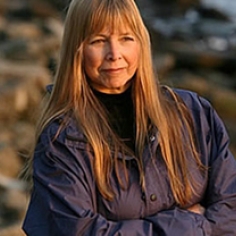 Mimi R. Koehl