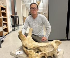 Portrait of Jack Tseng kneeling next to a large fossil skull of an extinct rhino, with rows of specimen cabinets in the background at the University of California Museum of Paleontology.