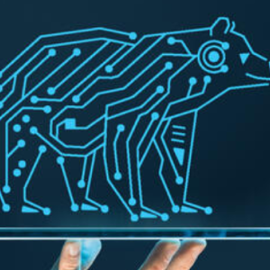 Graphic of bear with circuitry running through it.