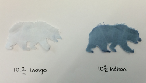 When indigo’s chemical precursor is applied to cotton cloth, a single enzyme can free indigo to dye a white bear to blue.