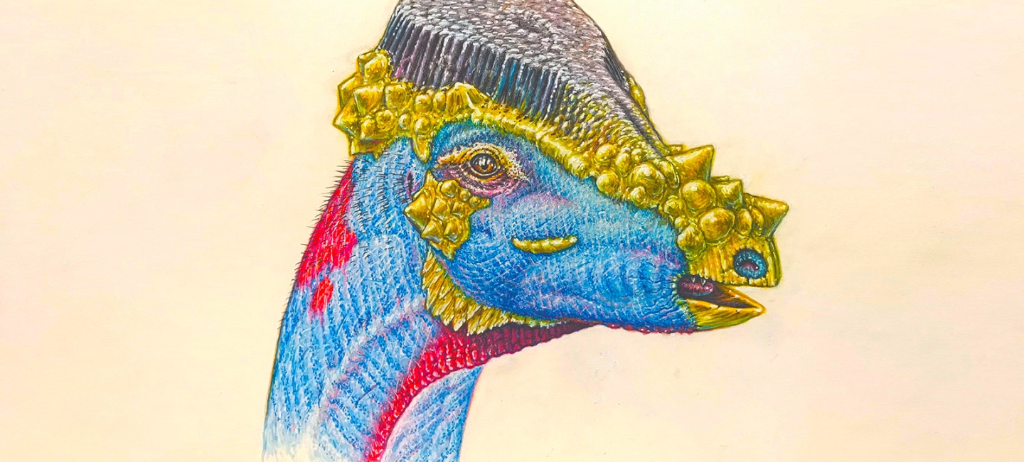 blue, red, yellow and purple drawing of the head and neck of a dome-headed dinosaur