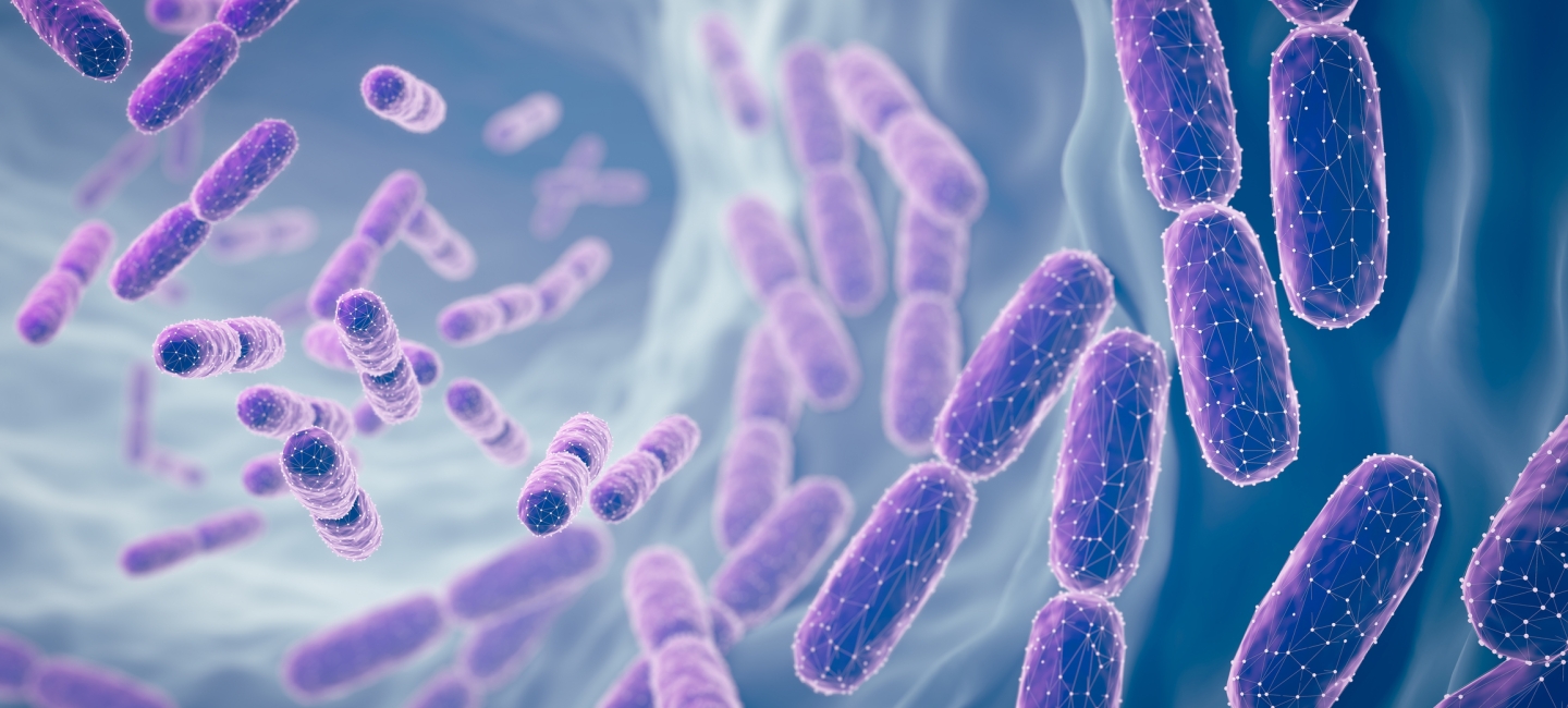 Illustration of Lactobacillus bacteria, capsule-shaped and shown in purple against blue background.