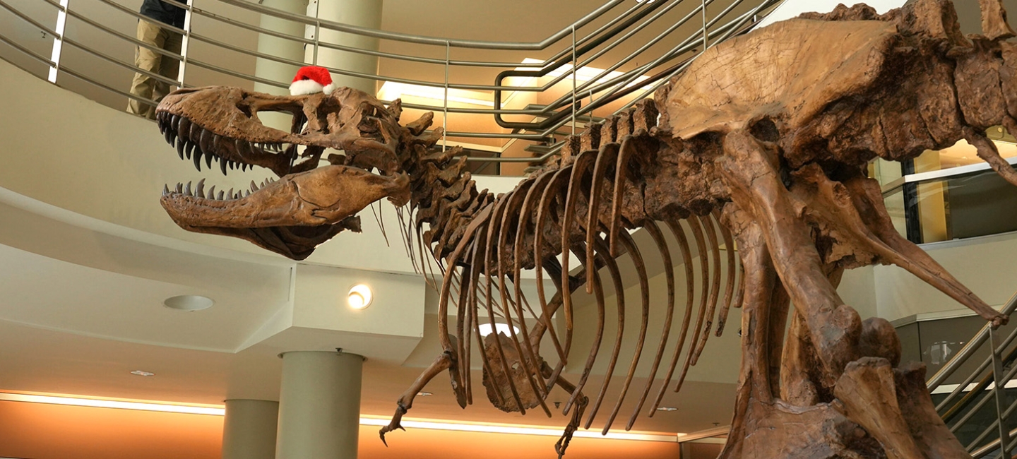replica of a T. rex in the Valley Life Sciences Building, UC Berkeley