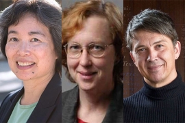Professors Tsu-Jae King Liu, Katherine Yelick, Gerbrand Ceder