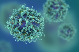 Stock image of virus cells
