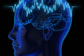 Brain rhythms graphic