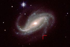 Image of Supernova 2016gkg in the galaxy NGC 613