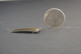 A photo of the small robot, which looks like a thin piece of metal, with a quarter for scale.