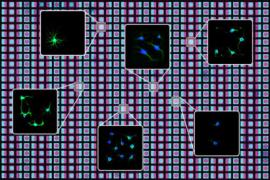 Squares showing individual cells are highlighted against a background of blue and purple squares