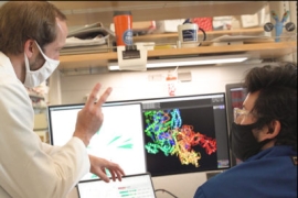 Postdoc Patrick Pausch and doctoral student Basem Al-Sayed in front of a computer discussing a new gene-editing protein